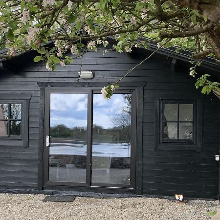 The Cosy Cabin By The Shore Голвей Екстер'єр фото